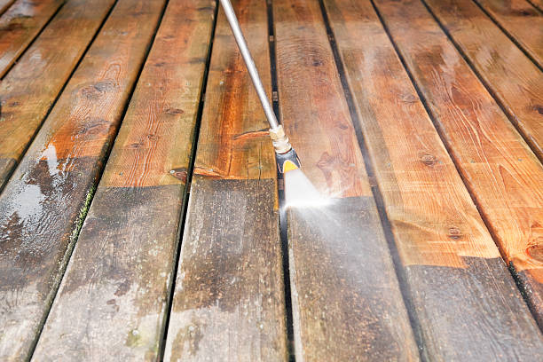Best Affordable Pressure Washing  in Westchase, FL