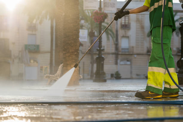 Best Sidewalk Pressure Washing  in Westchase, FL