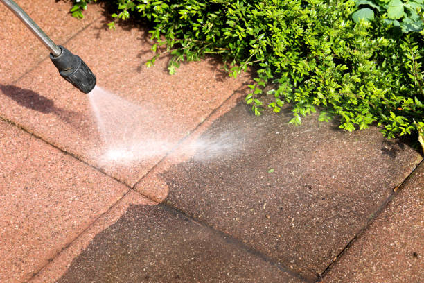 Why Choose Our Certified Pressure Washing Experts for Your Project Needs in Westchase, FL?